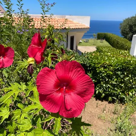 Sofia *luxury Experience In Calabria 别墅