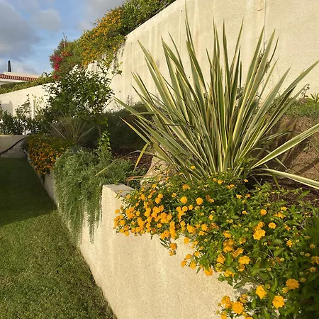 Sofia *luxury Experience In Calabria 别墅 赞布隆内