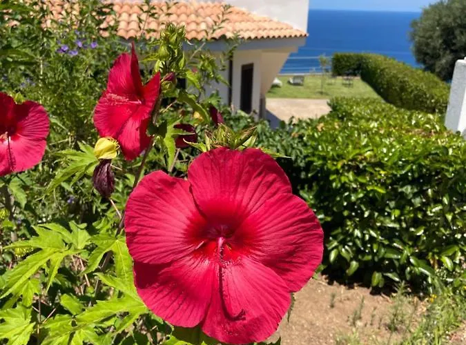 Sofia *luxury Experience In Calabria Villa